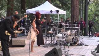 Sheila E Live at Stern Grove Festival [upl. by Deane]