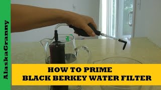 How to Prime a Berkey Water Filter Element [upl. by Evania42]