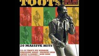 Toots And The Maytals Time Tough [upl. by Keyser]