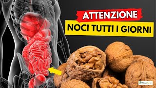 Dibattito chiuso le NOCI sono la miglior frutta secca al mondo [upl. by Annahs]