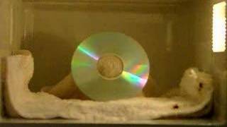 THE BEST CD In Microwave [upl. by Odlopoel]