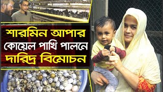 কোয়েল পাখি পালনে দারিদ্রকে জয় করলেন শারমিন আপা  Koyel Pakhi  Aminul Ahsan Rubayat  Channel Krishi [upl. by Yrrem]