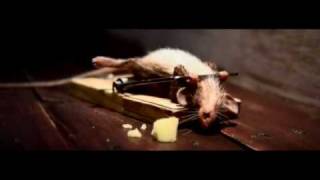 Mouse Trap  Cheese Advertisement [upl. by Odrarej819]