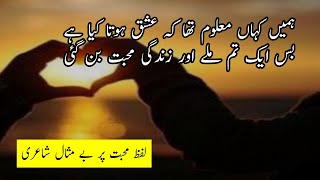 Awesome Urdu Poetry Collection on Mohabbat  Hindi Romantic Poetry  Urdu RPoetry on Love [upl. by Skrap]