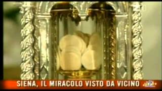 IL MIRACOLO EUCARISTICO DI SIENA  Lunico Miracolo Eucaristico in atto [upl. by Immij]