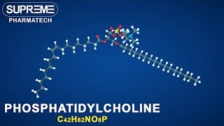 Phosphatidylcholine  C42H82NO8P  3D molecule [upl. by Alimaj571]