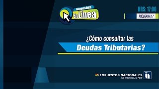 Programa 17 Cómo consultar las Deudas Tributarias [upl. by Ahtelat]