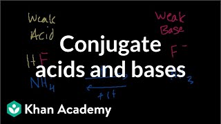 Conjugate acids and bases [upl. by Sadnak]