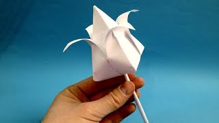 how to make paper tulip paper tulip flower [upl. by Herold]