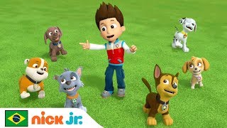 Patrulha Canina  ‘Música da Amizade’ 🐾  Nick Jr  Brazil  Português [upl. by Ahsenav]