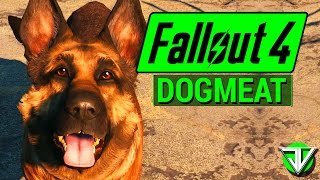 FALLOUT 4 Dogmeat COMPANION Guide Everything You Need to Know About Dogmeat [upl. by Nairrod]