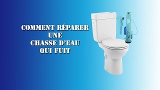 depanner un WC [upl. by Jannel338]