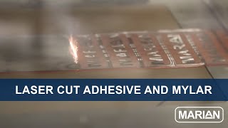 Laser Cut Adhesive and Mylar by Marian [upl. by Acus]