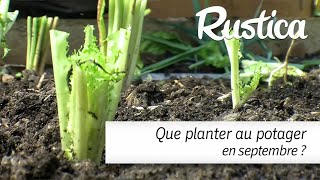 Que planter au potager en septembre [upl. by Ozneral548]