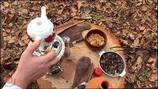 Preparing Organic Samovar Tea in Nature [upl. by Jay]