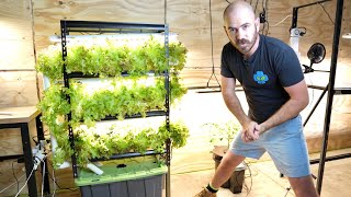 DIY Home Hydroponics Indoor Vertical System Set Up amp Timelapse [upl. by Nannarb]