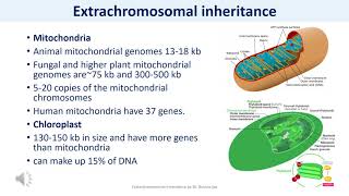 Extrachromosomal inheritance [upl. by Oderf]