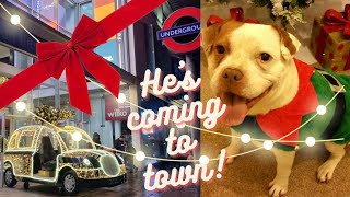 A London Vlogmas Days 4 amp 5 Waitrose Party Food amp Gifts from Santa Paws [upl. by Sateia]