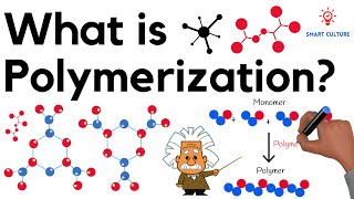 What is Polymerization [upl. by Notsruht]