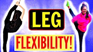 How To Get INSANE CONTORTIONIST LEG FLEXIBILITY 2 [upl. by Sokim]