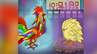 SARIMANOK VS SUPER SISIW 3  MANOK NA PULA COMPILATION manoknapula [upl. by Hearsh]