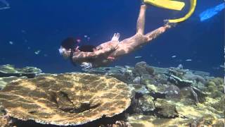 ANGSANA Resort Snorkeling [upl. by Sigismundo]