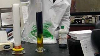 Universal Indicator with Dry Ice [upl. by Waers865]