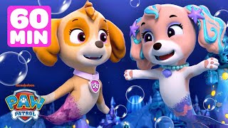 Skye amp PAW Patrol Aqua Pups Underwater Rescues w Coral  1 Hour Compilation  Shimmer and Shine [upl. by Aisorbma144]