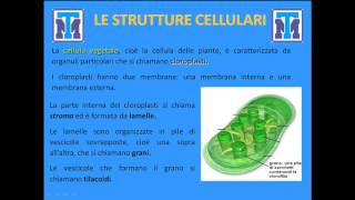 Test Medicina 2022 Biologia  La cellula come base della vita [upl. by Barden]