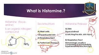 AntiHistaminics Histamine Release of Histamine and Receptors Part1 [upl. by Ahsercal]