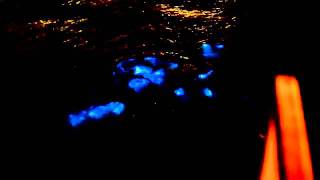 Bioluminescent dinoflagellates causing the ocean to glow neon blue at night  YouTubemp4 [upl. by Elin195]