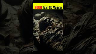 😱 3000 year Old Mummy 🤯 Mystery  ಕನ್ನಡ  Vijay Devassy kannada shorts shortsfeed [upl. by Qahsi]