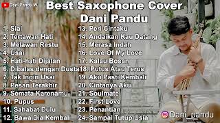 Best Saxophone Cover by Dani Pandu II  Kumpulan Cover Lagu Terbaik [upl. by Ivo]