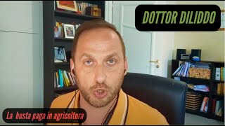 Il sostituto di imposta agricoltura [upl. by Jessi]