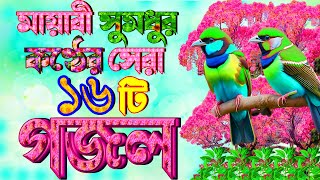 মায়াবী সুমধুর কন্ঠের ১৬টি গজল মন উজার করা গজল Selected Gajal Islamic New Gojol New Bangla Gojol [upl. by Arbas401]