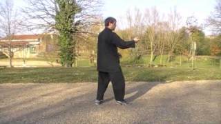 13 postures  Yangjia Michuan Taiji Quan [upl. by Caesaria]