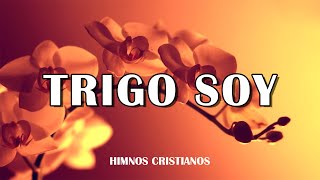 TRIGO SOY DEL GRANERO DEL SEÑOR  Himnos Antiguos de la Asamblea de Dios  Selección de himnos [upl. by Virge551]