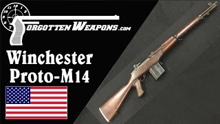 Winchester ProtoM14 Rifle [upl. by Gideon]