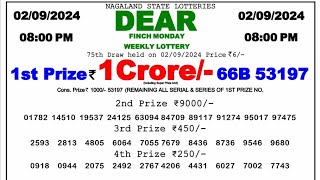 🔴 Evening 0800 PM Dear Nagaland State Live Lottery Result Today ll Date02092024 ll [upl. by Darrick]