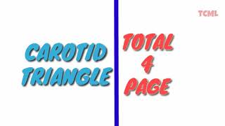 Carotid Triangle 5 Overall [upl. by Lynelle]