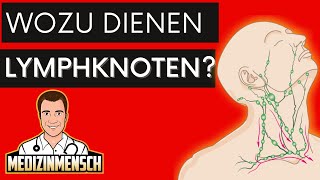 Wozu dienen LYMPHKNOTEN  Arzt erklärt Funktion [upl. by O'Donnell]