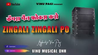 कैमरा मैन फोकस करो  Zingali Zingali po  part 2  Vinu Musical DNH 2023 2024 tarpa [upl. by Loughlin]