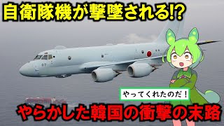 【実話】韓国海軍レーダー照射問題 [upl. by Ilatfen]