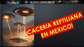 05 NOVIEMBRE 2024 CAZANDO REPTILIANOS EN MEXICO [upl. by Enahsal]