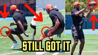 Terrell Owens NASTY Route Running In Workout  NFL Comeback [upl. by Eirollam]