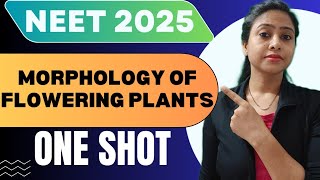 Morphology of flowering Plants  One Shot  Full Chapter  NEET 2025  neet tanujabiostudies [upl. by Zilvia]