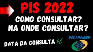 COMO CONSULTAR O PIS 2022 NA ONDE CONSULTAR [upl. by Penman]