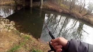 ACCOTINK Creek  Stocked Brown Trout [upl. by Gladi311]