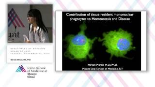 Contribution of Tissue Resident Mononuclear Phagocytes to Homeostasis and Disease [upl. by Reynard391]