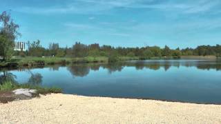 The Carp Specialist  De Karperhoeve Tines Lake  Swim 1 [upl. by Nodnarbal]